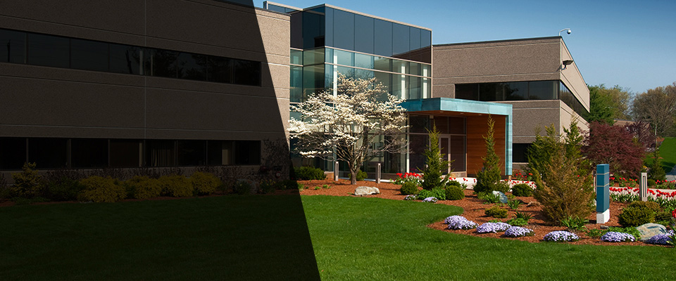 Saint Henry Landscapers