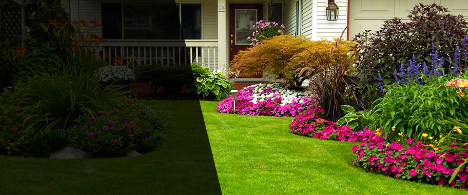 Saint Henry Landscapers