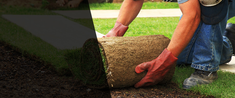 Saint Henry Landscapers